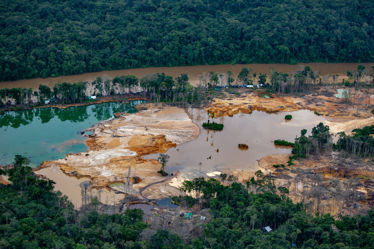 Justiça de Roraima censura reportagem sobre comércio ilegal de ouro extraído da Terra Indígena Yanomami