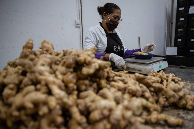 Centro de distribuição da Raízs, na Vila Leopoldina, em São Paulo