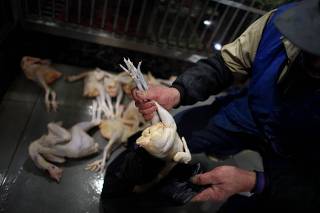 A man puts a chicken inside a plastic bag at a food market in downtown Shanghai