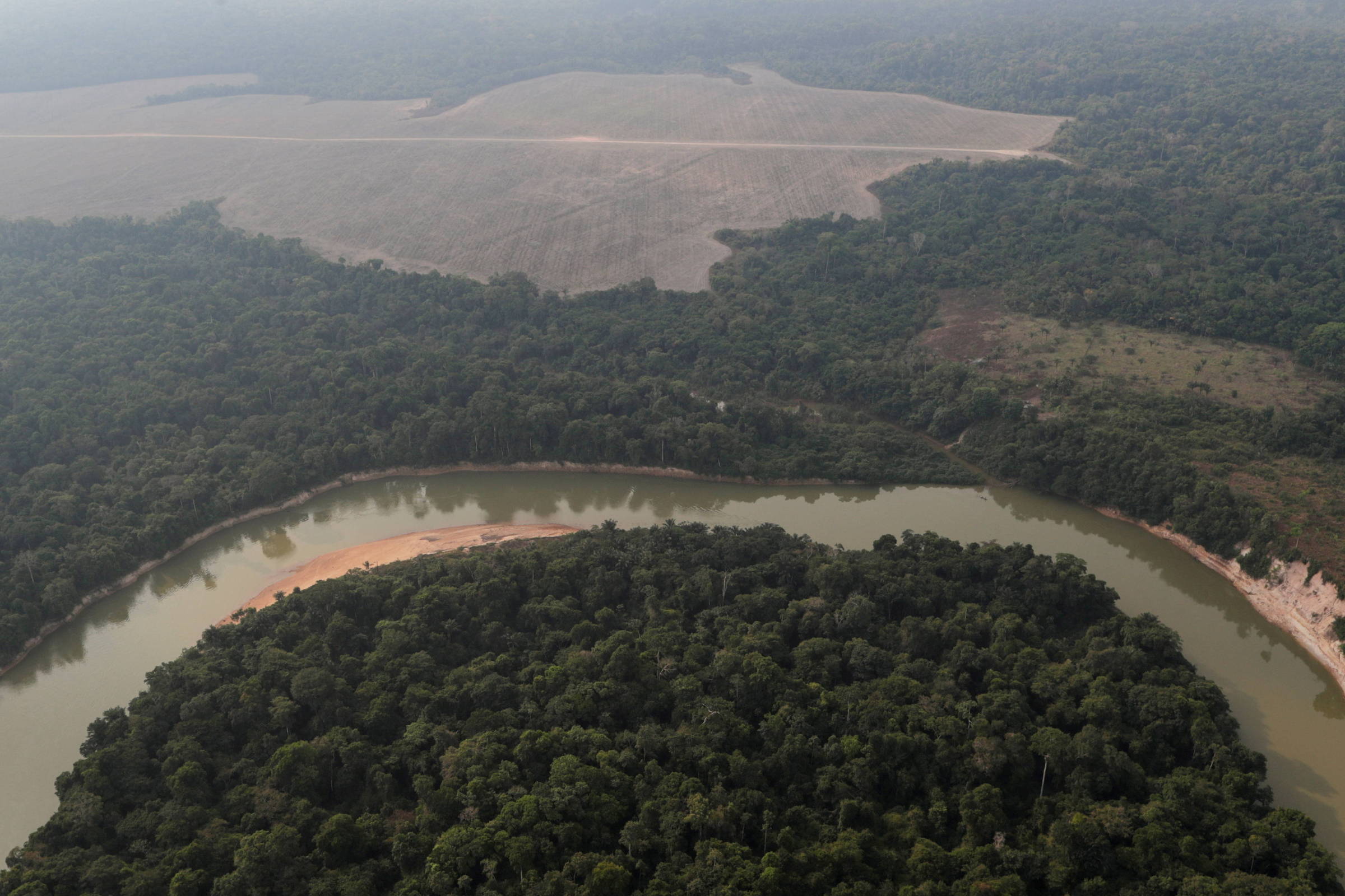 Substituir a floresta amazônica por grandes plantações comerciais eleva temperatura e reduz chuva