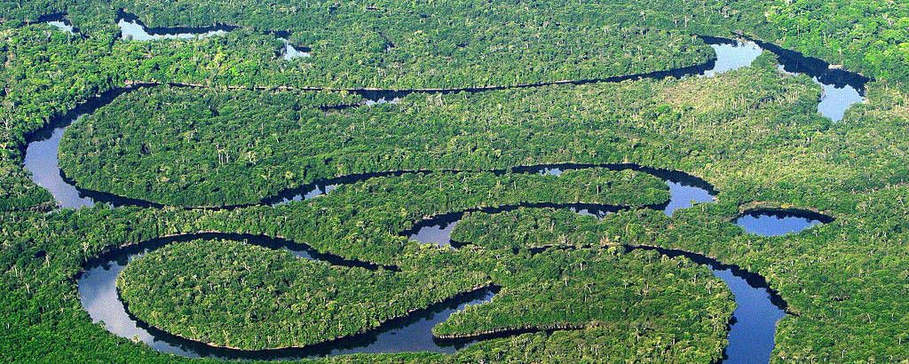 Amazônia Brasileira. Vista aérea da floresta amazônica.
