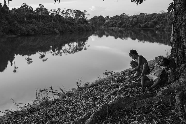 Veja fotografias de Lalo de Almeida na Amazônia