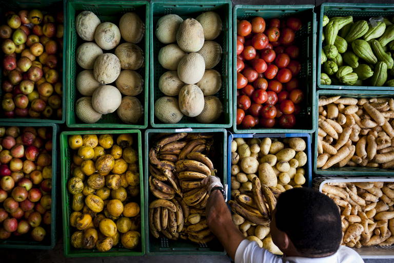 ONG Banco de Alimentos combate desperdício de alimentos desde 1998