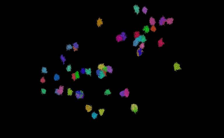 Astrócitos, células cerebrais, digitalizadas na plataforma Neuroglancer