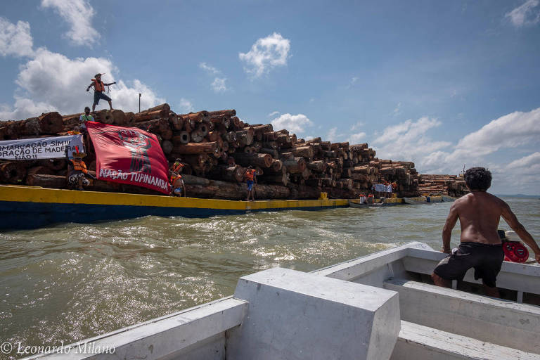 Um homem está de pé sobre uma pilha de troncos de madeira em um navios que trafega por um rio. Embaixo dele, uma bandeira lê: "Nação Tupinambá"