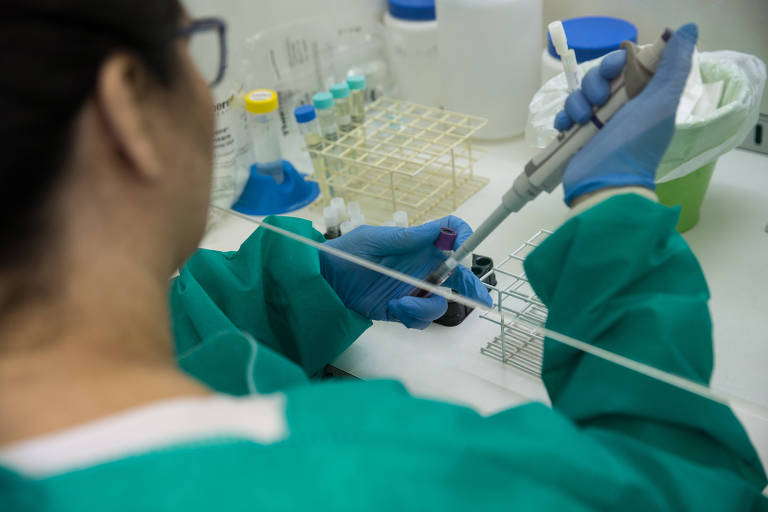 Pesquisadora trabalha no Instituto de Ciências Biomédicas da USP, em São Paulo
