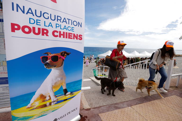 Praia para cães é aberta na França