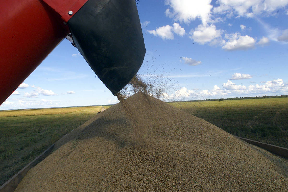 Com o ovo de Páscoa caro, supermercado faz promoção de arroz