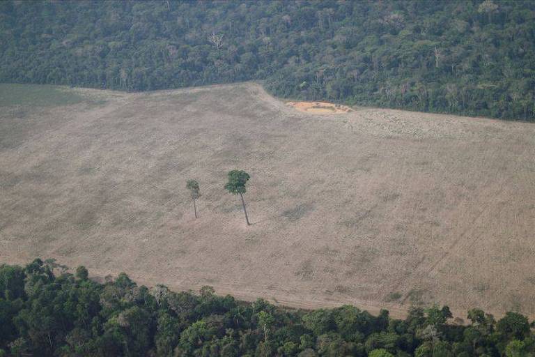 Trecho desmatado da Amazônia perto de Porto Velho em Rondônia