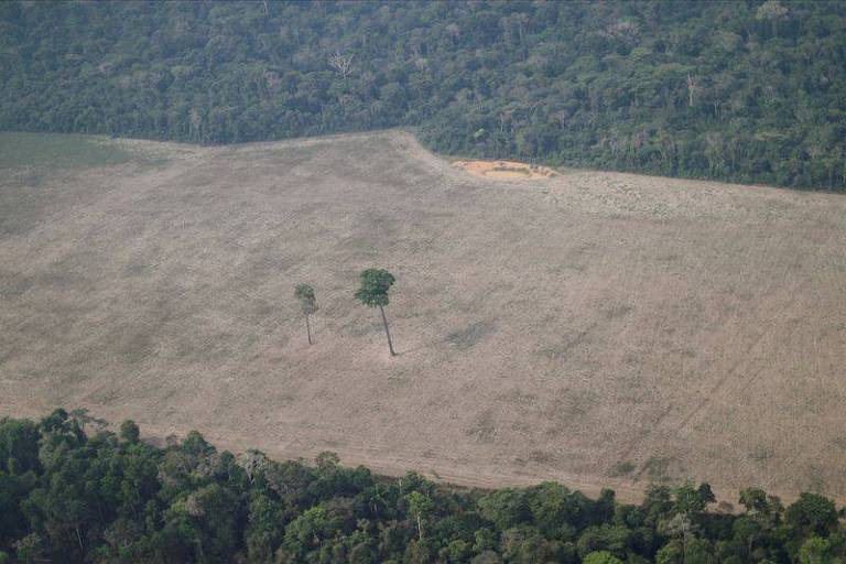 Estudo mostra que as é o estado com maior área de terras públicas  'sem destinação' na Amazônia Legal, as