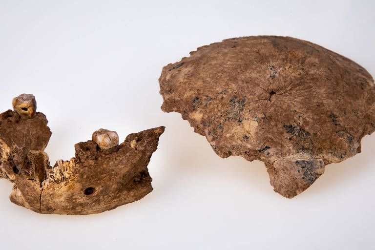 Fósseis de misteriosos seres humanos arcaicos são encontrados em Israel