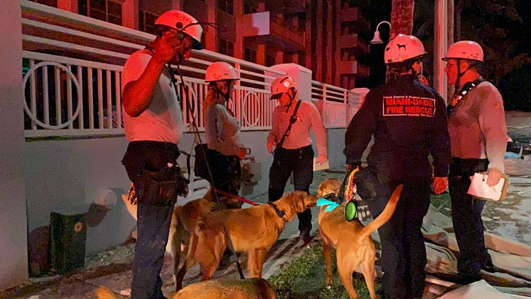 Estudo sobre o desabamento do prédio em Miami Beach – PET Engenharia Civil  UEM