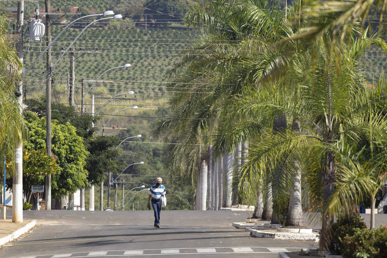 Imagem mostra uma rua vazia, sem carros, com apenas um homem caminhando nela; no canteiro central, há coqueiros e, bem ao fundo da imagem, uma produção agrícola
