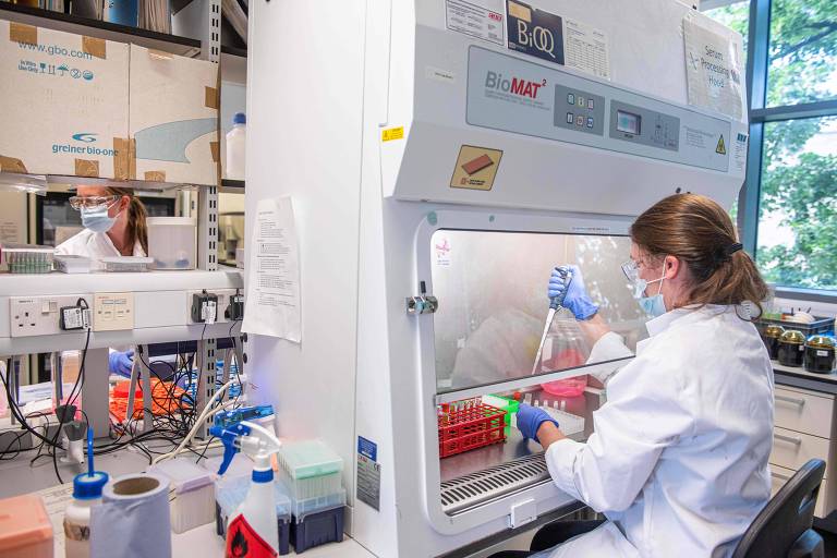 Foto mostra cientista trabalhando em bancada de laboratório durante pesquisa científica