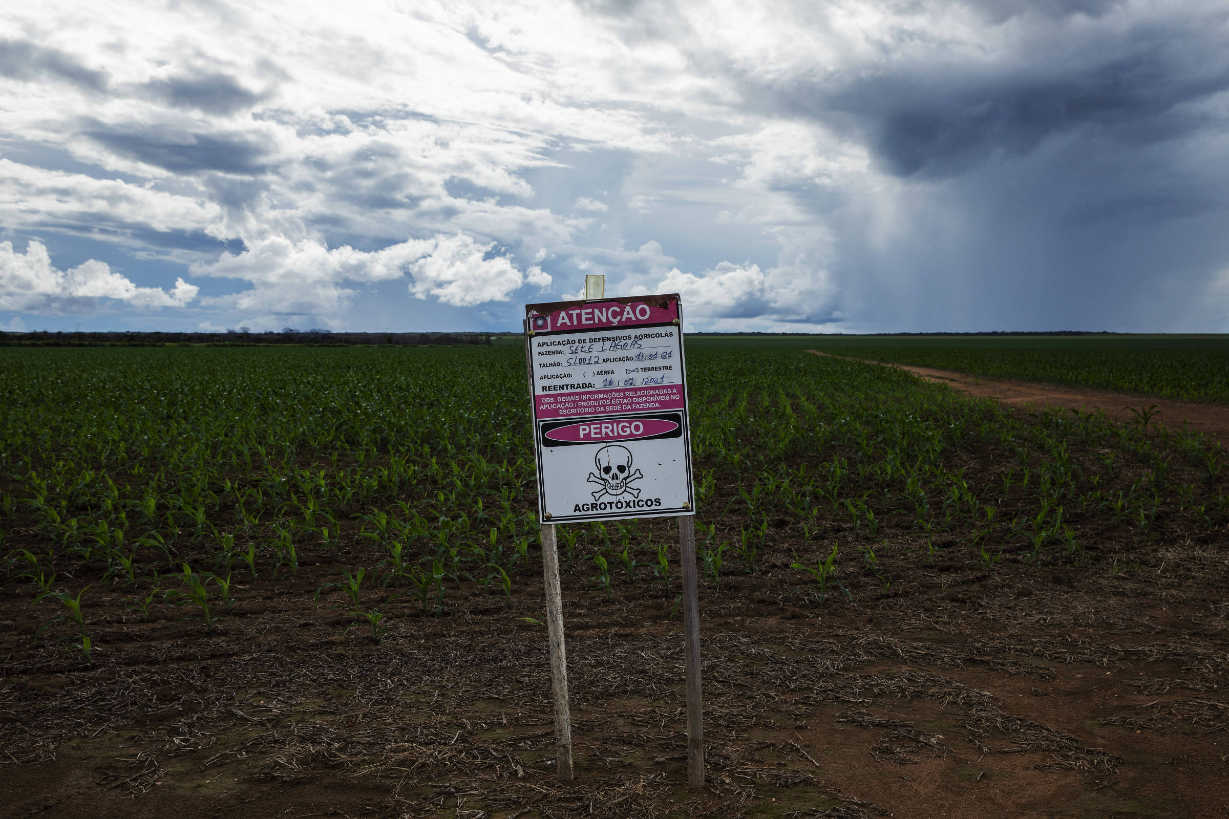 Brasil registra número recorde de agrotóxicos em 2024