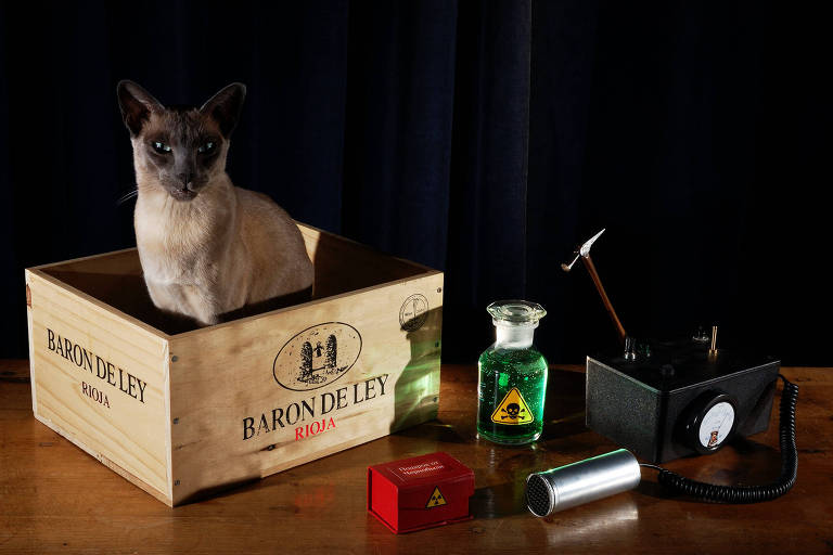 Gato, dentro de uma caixa, com elementos radioativos ao lado