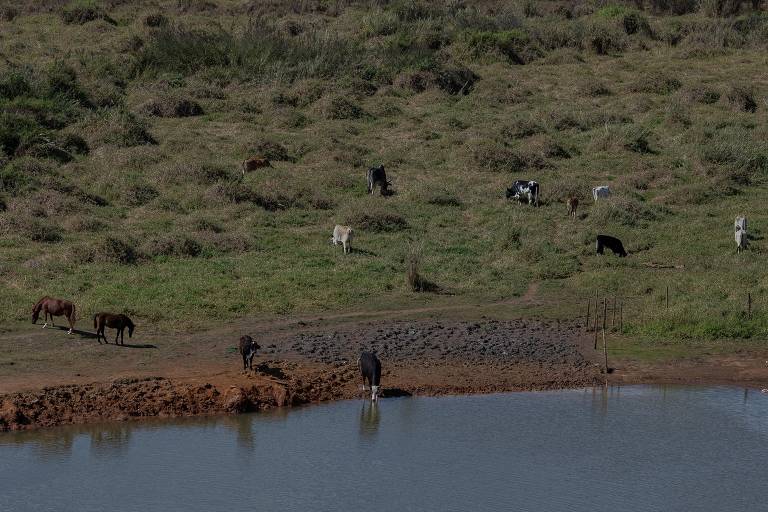 Represa com baixo nível de água baixo na cidade de Areado, no interior de Minas Gerais