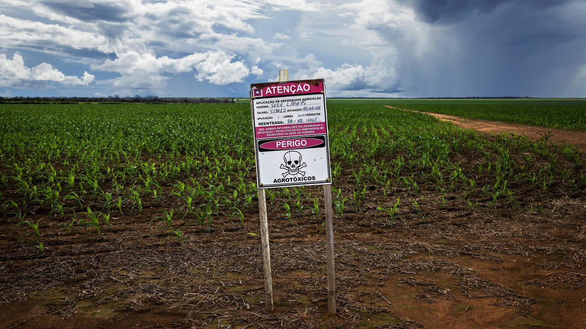 Placa sinaliza o uso de agrotóxico em plantação de milho próximo à APA (Área de Proteção Ambiental)