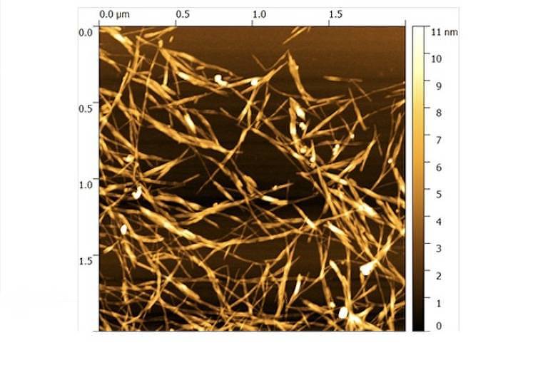 Nanocristais obtidos a partir da biomassa da cana-de-açúcar