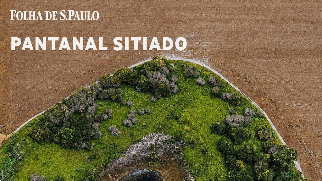 Em cerco ao Pantanal, hidrelétricas, desmatamento e agrotóxico formam tripé de ameaças contra o bioma