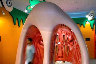 A MAN EMERGES FROM A GIANT NOSE AT SINGAPORE'S GROSSOLOGY EXHIBIT
