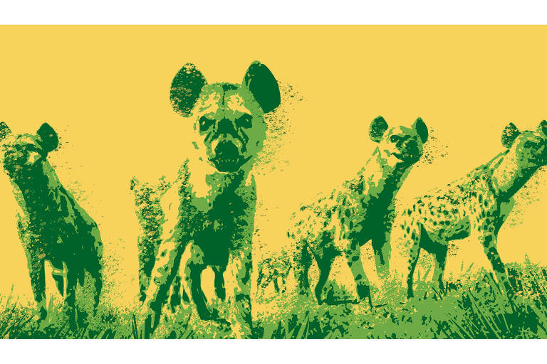 Ilustração de quatro hienas em tons de verde com o fundo amarelo