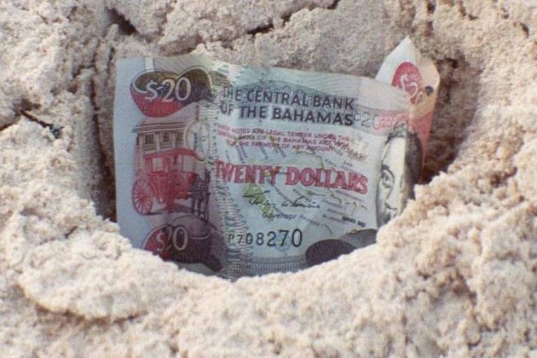 Nota de dólar de areia está dentro de um pequeno buraco aberto na areia