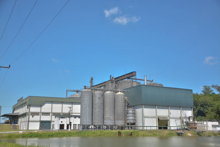 Usina da Fumacense Alimentos precisa de apenas oito funcionários; em 2020, 27 mil toneladas de casca do cereal foram usadas para gerar mais de 6.000 MW/h