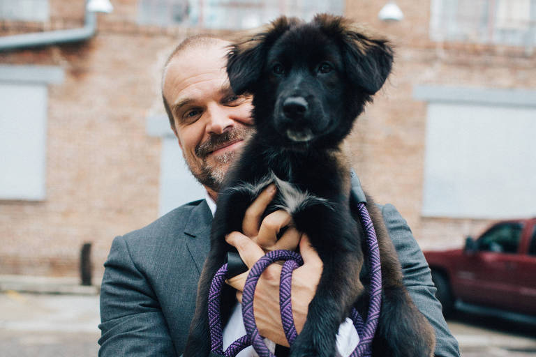 O ator  David Harbour e o seu cachorro