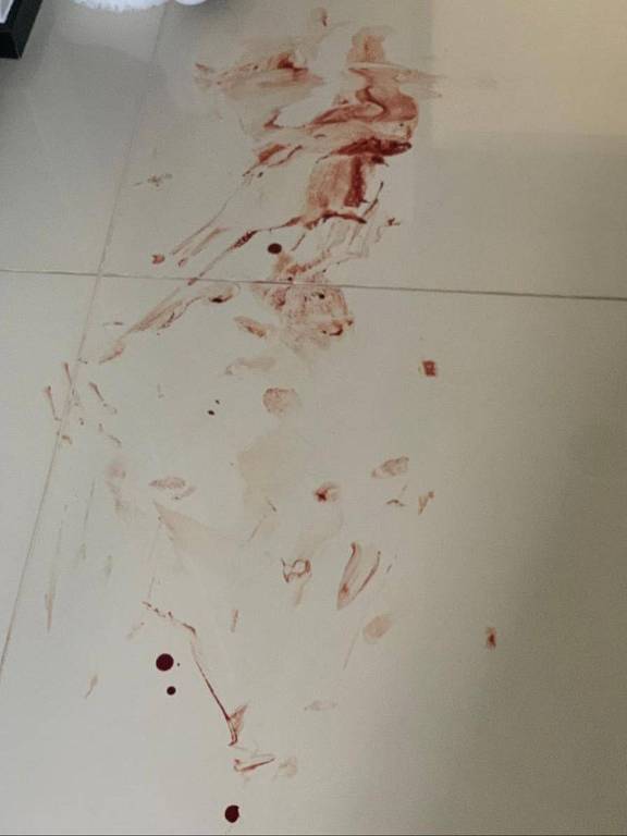 Chão do apartamento funcional da deputada Joice Hasselmann com marcas de sangue