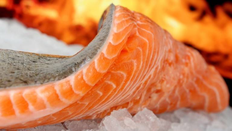 Estudo associa aumento do risco de câncer de pele ao consumo de peixe