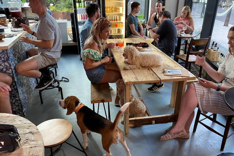 Bar em Londres serve coquetéis também para cães