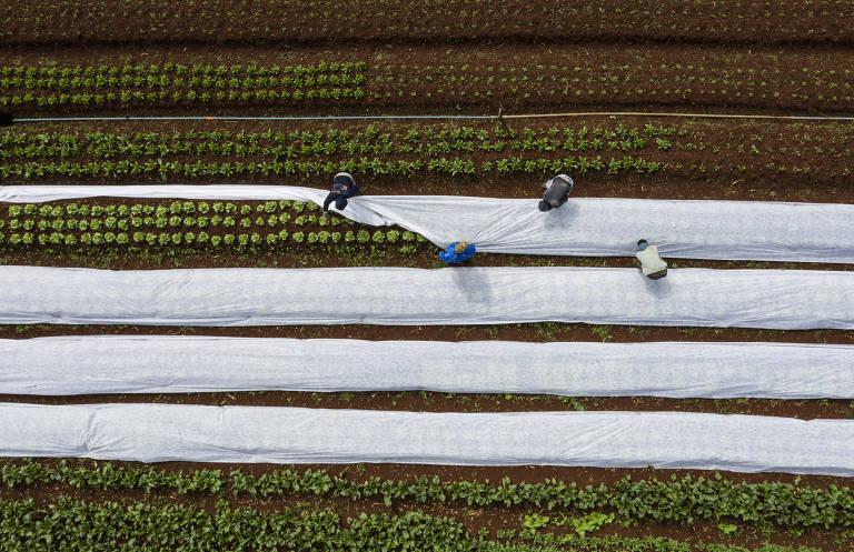Área protegida tem cerca de 3,5 mil metros quadrados 