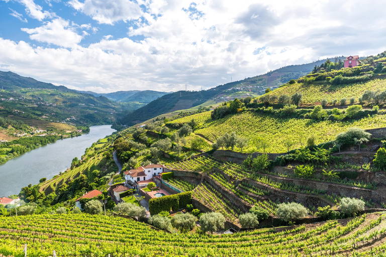 Pôster Regiões Vinícolas de Portugal