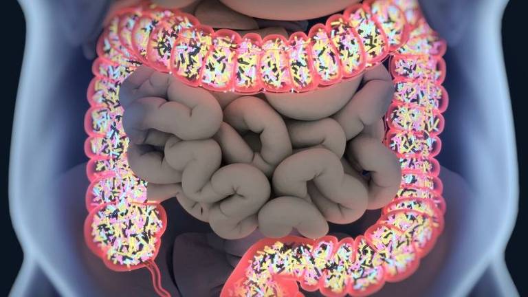 O microbioma é um conjunto de micro-organismos que habita várias partes do corpo, como os intestinos
