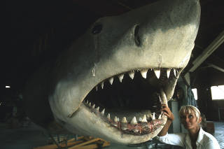 Valerie Taylor with a prop shark in 1974. (Ron and Valerie Taylor via The New York Times)