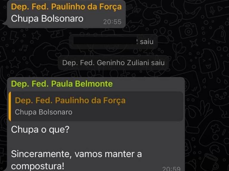 Troca de mensagens entre Paulinho da Força e Paula Belmonte em grupo de políticos sobre voto impresso