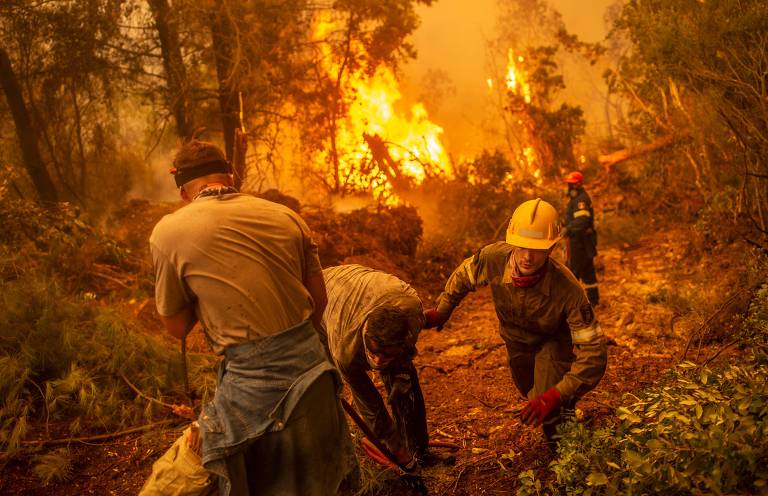 Bolsonaro no Congresso, incêndio na Grécia e pandas na Bélgica; veja fotos de hoje