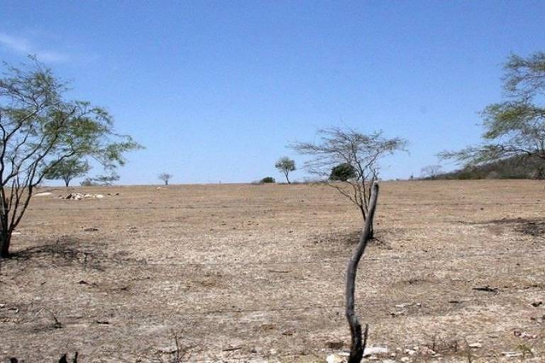 Área desertificada no interior de Alagoas. Na imagem se vê uma área ampla com poucas árvores