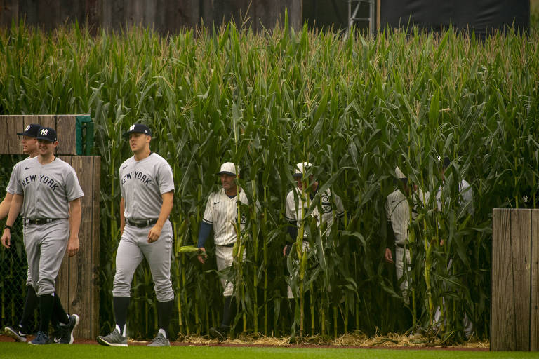 Atletas do White Sox e do Yankees saem do milharal em direção ao campo 