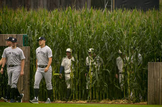In a nod to the movie, players for the New York Yankees and the Chicago White Sox entered the stadium through the cornfields ahead of Major League Baseball?s ?Field of Dreams? game on Aug. 12, 2021 in Dyersville, Iowa, where a newly constructed 8,000 capacity stadium was built adjacent to the movie set field. (Johnny Milano/The New York Times)