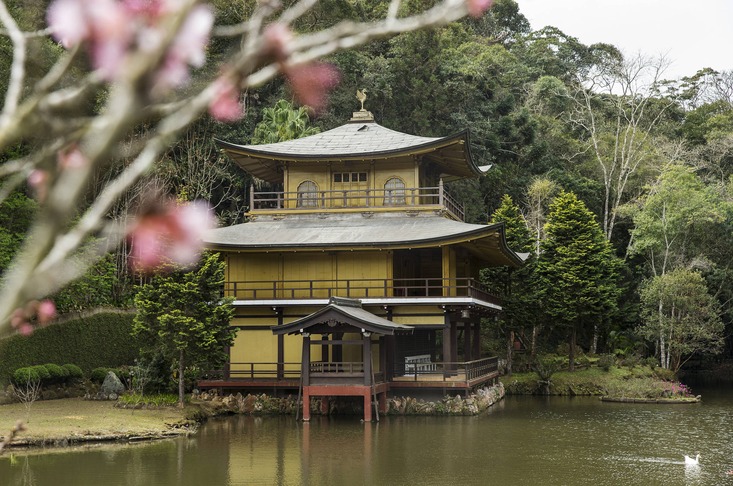 Templo Satogou - 🟢 Brais Brais es el líder del Gimnasio de Pueblo