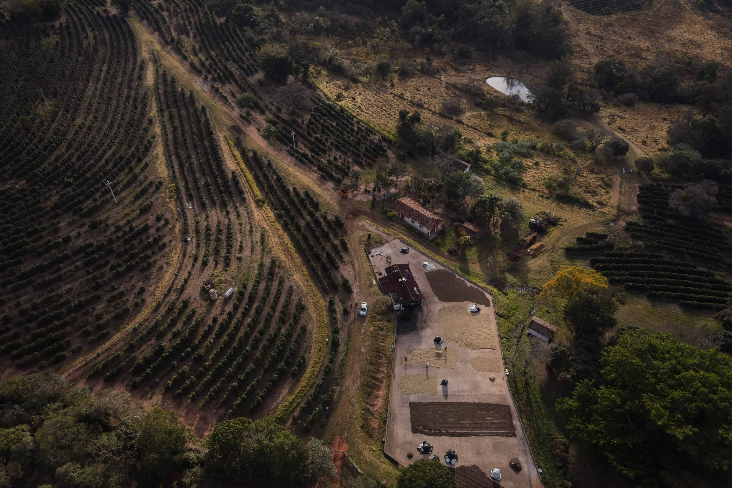 Tarcísio quer leiloar áreas ativas de pesquisa agropecuária
