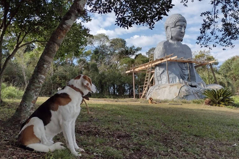 cachorro em gramado observa estátua de Buda em tamanho grande