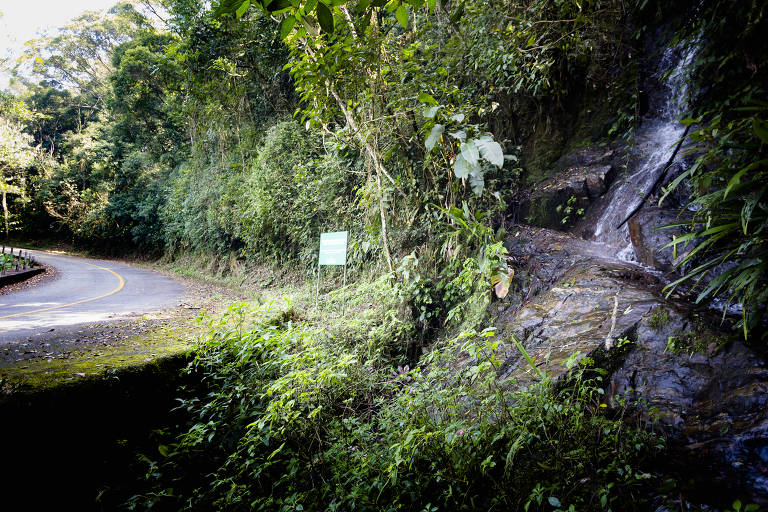 Parque Estadual da Serra do Mar, que ligava a capital ao litoral paulista