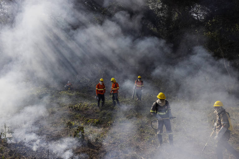 Urgente: Fofoca de novo garimpo apenas 08 KM de Colniza deixa os moradores  agitados. - Pantanal Online