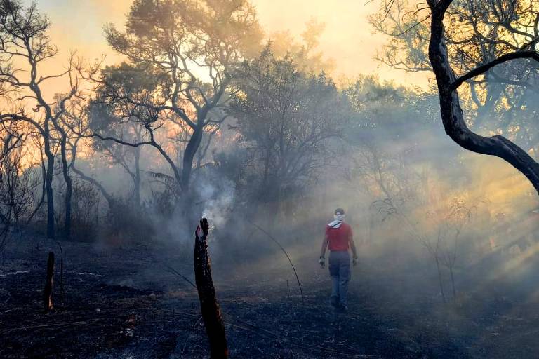 Mais de 240 pessoas,  entre profissionais do Corpo de Bombeiros, brigadistas do Parque Juquery e agentes da Defesa Civil estão atuando no combate ao incêndio