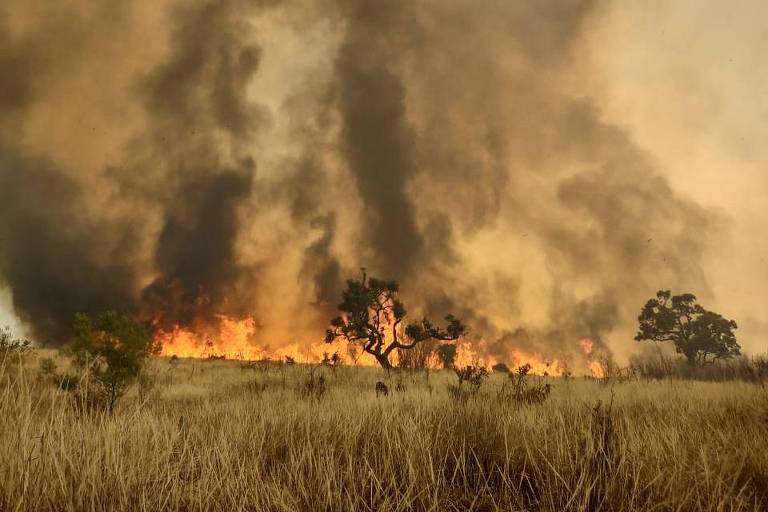 No sábado (21), outro incêndio atingiu área de mata próxima a comunidade indígena no Jaraguá, na Zona Norte da capital paulista