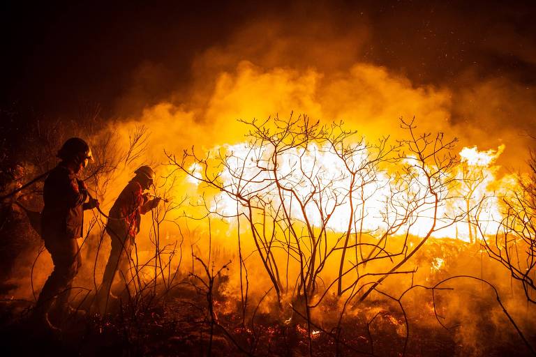 Incêndio atinge parque de cerrado na Grande SP