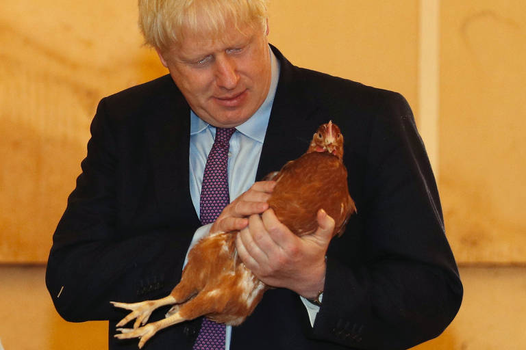 Brexit e covid provocam falta de frango no Reino Unido